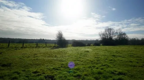 一起草网站田园自然风光高清视频素材