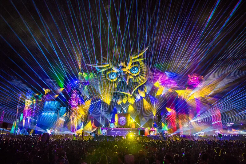 一起草网站音乐节现场视频素材